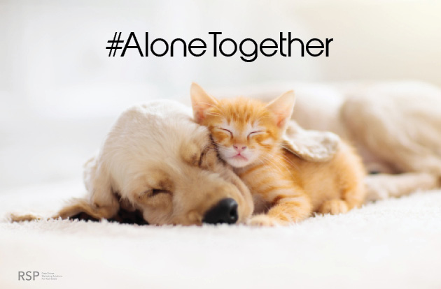 alone together social media graphic with dog and kitten sleeping together