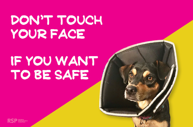 don't touch your face if you want to be safe social media graphic with dog