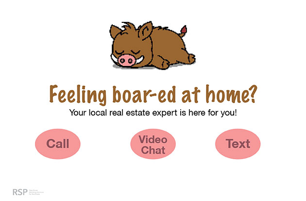 Feeling boar-ed at home, your local real estate expert is here for you! social media graphic with boar